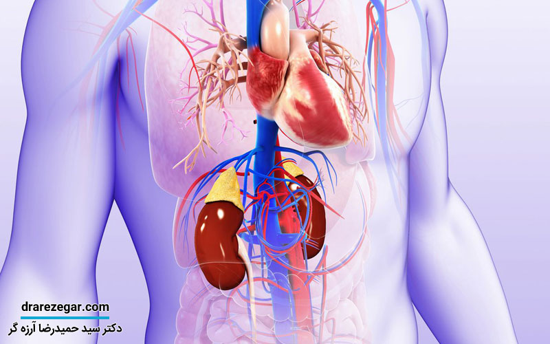 5 گام موثر برای حفظ سلامت همیشگی کلیه ها