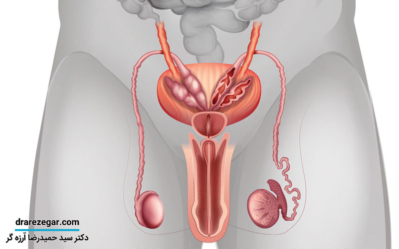 علت پوسته پوسته شدن ناحیه تناسلی مردان