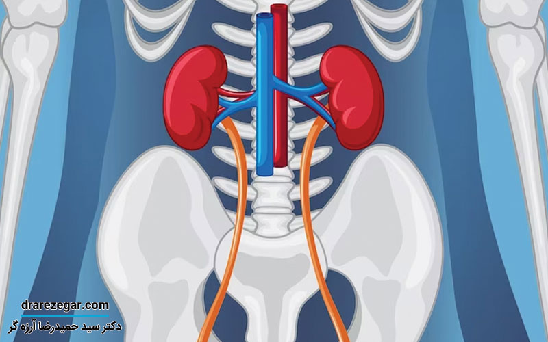 مثانه عصبی چیست