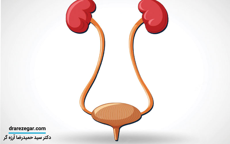 مثانه عصبی چیست