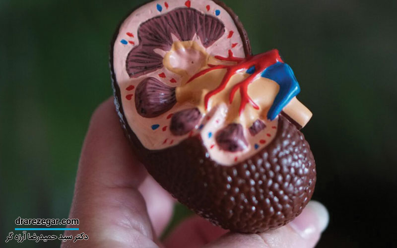 عوارض نوشیدنی های انرژی زا بر کلیه