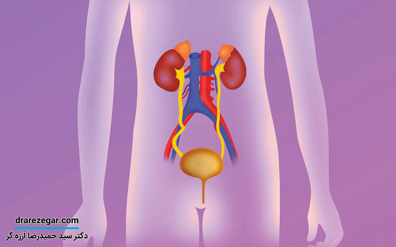عوارض پس زدن ادرار روی کلیه
