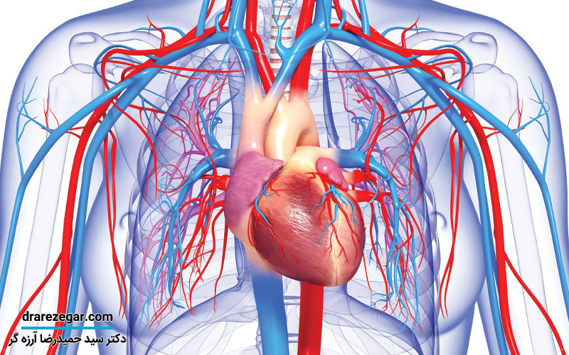 تأثیر بیماری های قلبی و کلیوی بر هم