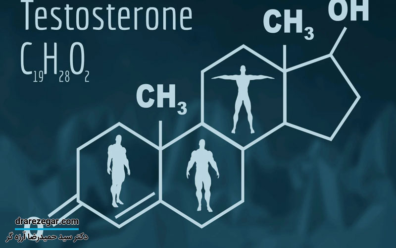 تستوسترون چیست