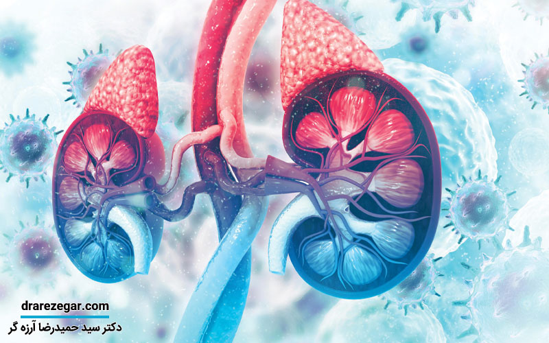 غدد فوق کلیوی یا غده های آدرنال