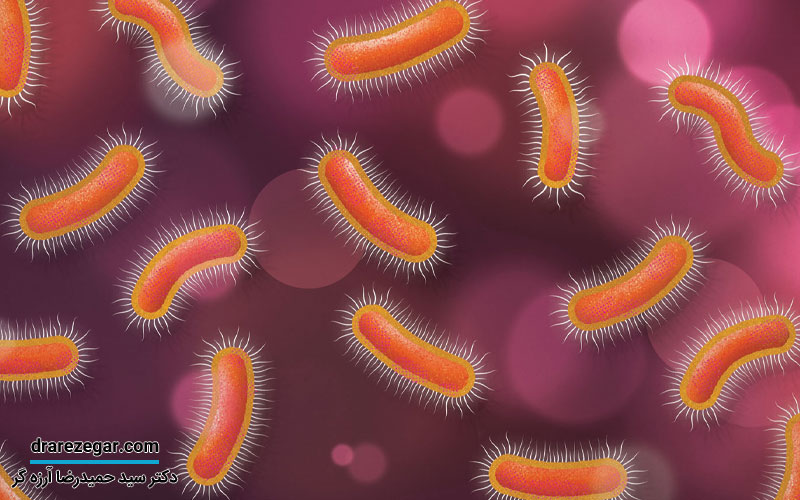 سرطان های دستگاه تناسلی ادراری