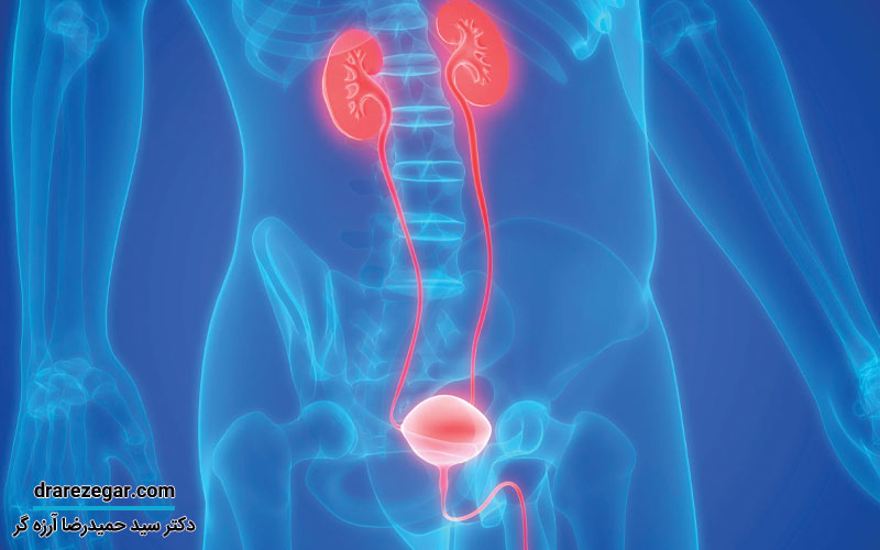سرطان های دستگاه تناسلی ادراری