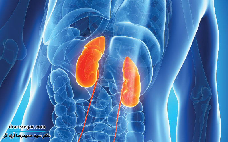 نشانه های نارسایی کلیه