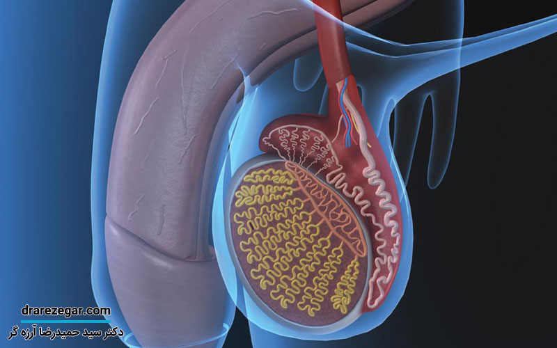 درباره التهاب پروستات بدانید