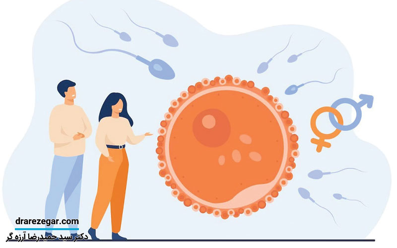 اسپرم صفر یا آزوسپرمی در مردان