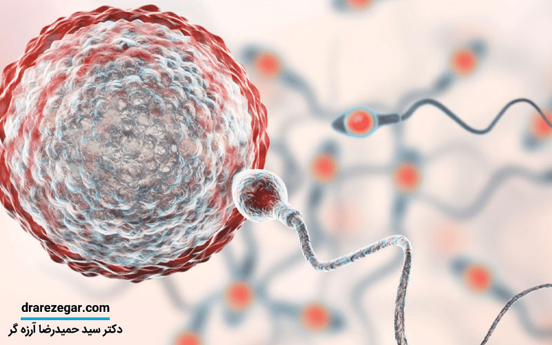 دلایل کاهش تعداد اسپرم در مردان