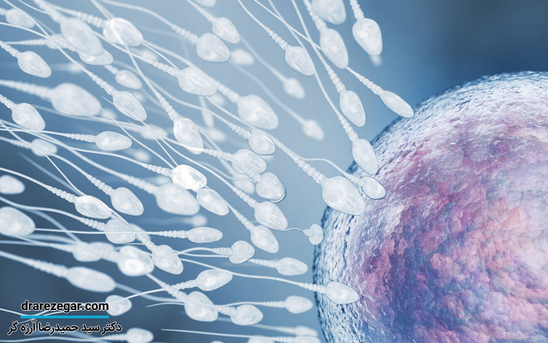 دلایل کاهش تعداد اسپرم در مردان