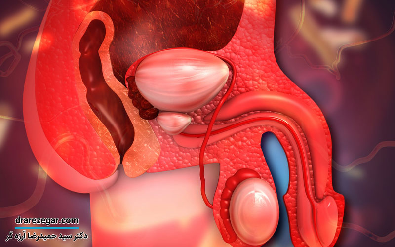 چه زمانی افتادگی بیضه طبیعی است